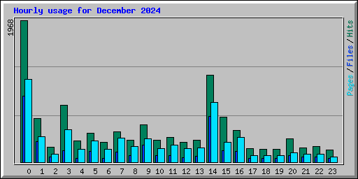 Hourly usage for December 2024