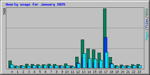 Hourly usage for January 2025