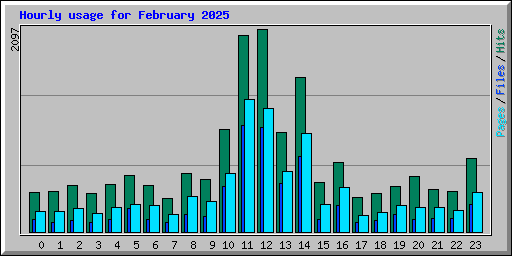 Hourly usage for February 2025