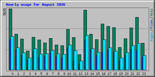 Hourly usage for August 2026